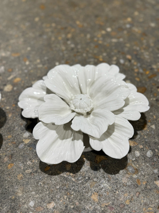 SET of 5 Tozai porcelain flowers, ivory, misc. sizes