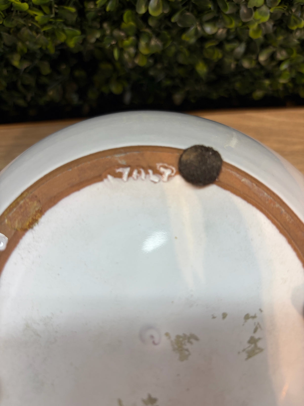 Tuscan Terracotta Planter w/White Glaze, 6.25"H x 9"Dia