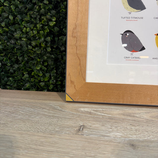 Birds of VA Framed Print 13.5"W x 16"H