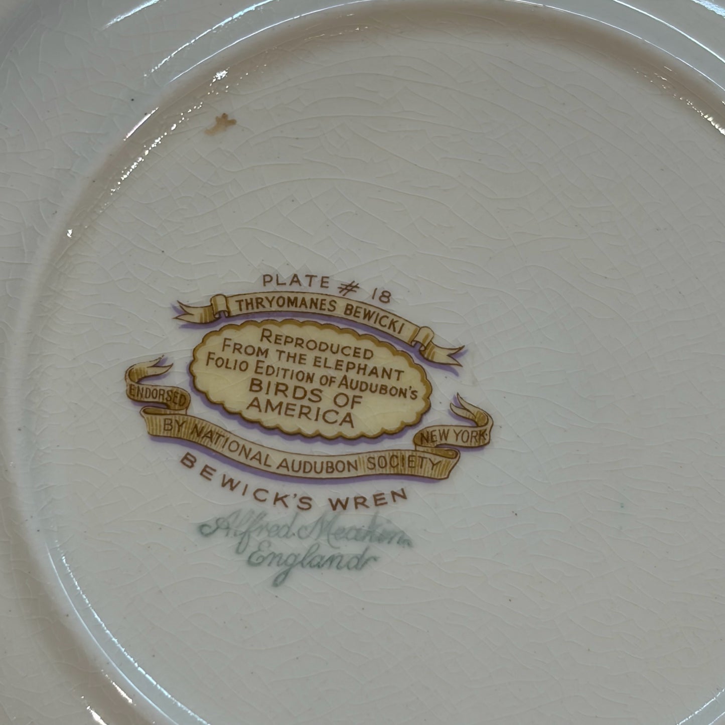 VTG Set of 6 Birds of America Floral Rim Plates by Alfred Meakin, 10.75"Dia