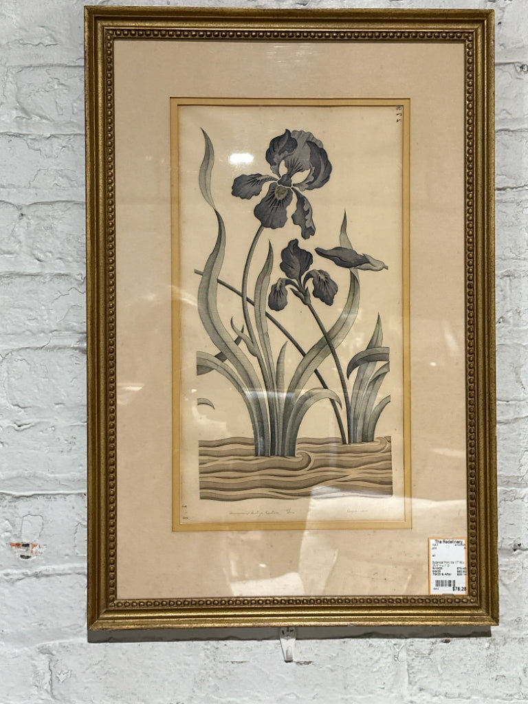 Botanical Print, Iris 17" W x 25.5" H x 1" D