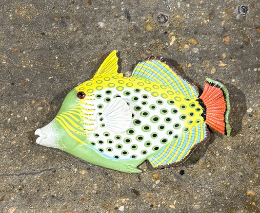 Honeycomb trigger fish art, 9"L x 7"W x 1"H