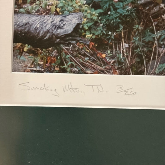 Framed Print of Smoky MTS, TN 3/250, Signed, 26"W x 44"H x 1.25"D