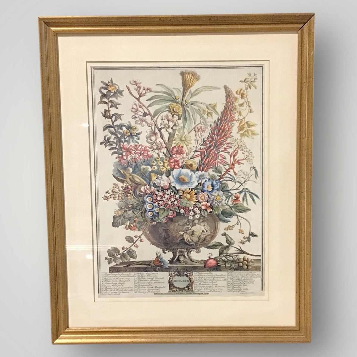 VTG Botanical Print "December" by Robert Furber 17.5 "W x 22"H