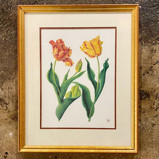 Vintage SET of 2 Botanicals Prints, 18.75"H x 15.25"W x 1"D