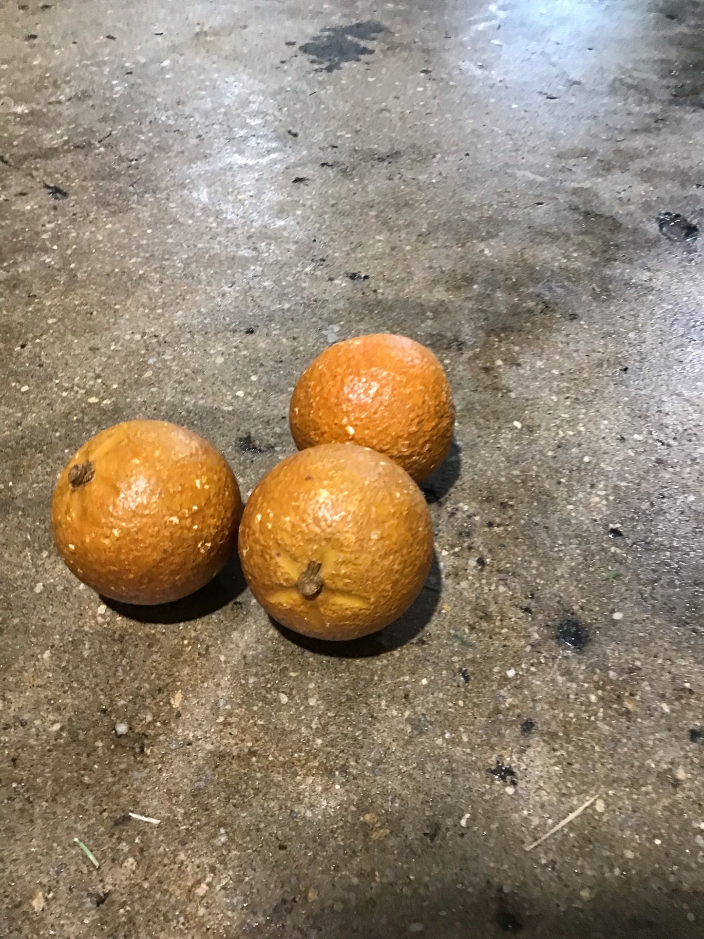 3 Italian Alabaster Oranges 9.5" dia. x 3.5" H each