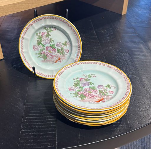 SET 9 Calyx Ware Plates 6" D