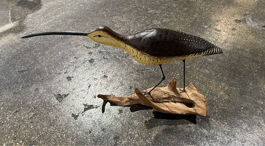 Long-billed curlew, handcarved, signed, 19"L x 5"W x 10"H