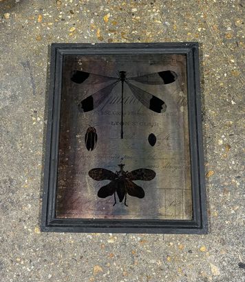 Art - Dragonflies on Glass 21"H x 17" W x 1" D