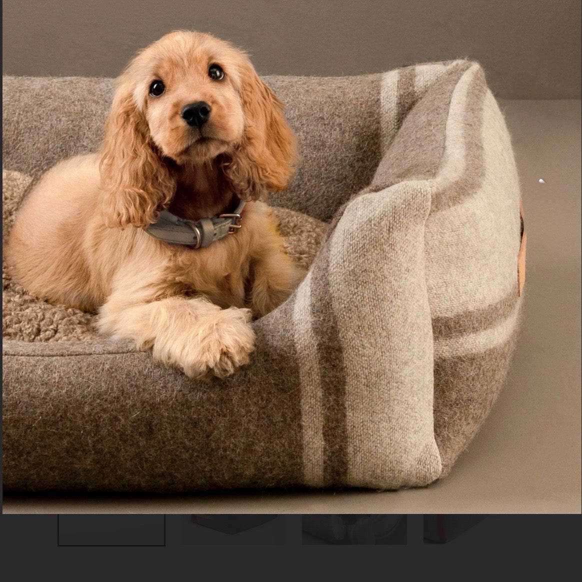 Henri Recycled Wool Dog Bed, White, 27.6"W x 19.7"D x 5.9"H