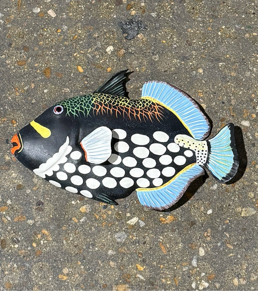 Clown Trigger fish art, 9"L x 7"W x 1"H