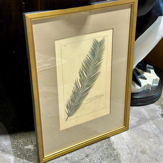 Vintage Style Botanical Palm Leaf Print D.5 , Gold Framed, 21.75" L x 16.25" W