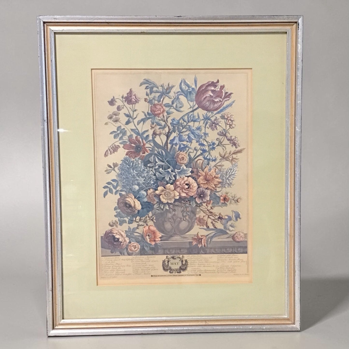VTG  Botanical Print "May" by Robert Furber 19"W x 23"H