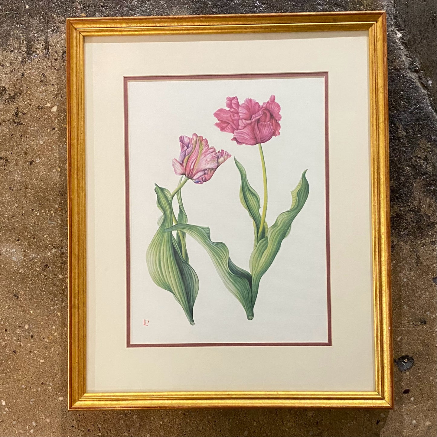 Vintage SET of 2 Botanicals Prints, 18.75"H x 15.25"W x 1"D
