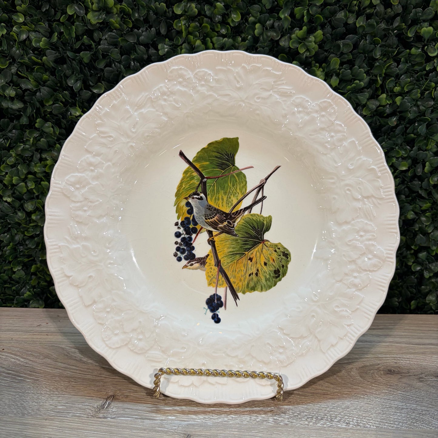 VTG Set of 6 Birds of America Floral Rim Plates by Alfred Meakin, 10.75"Dia