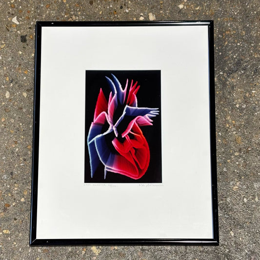 Photograph, "Open Hearted", A. Pietersen, 11.25" W x .75" D x 14.25" H