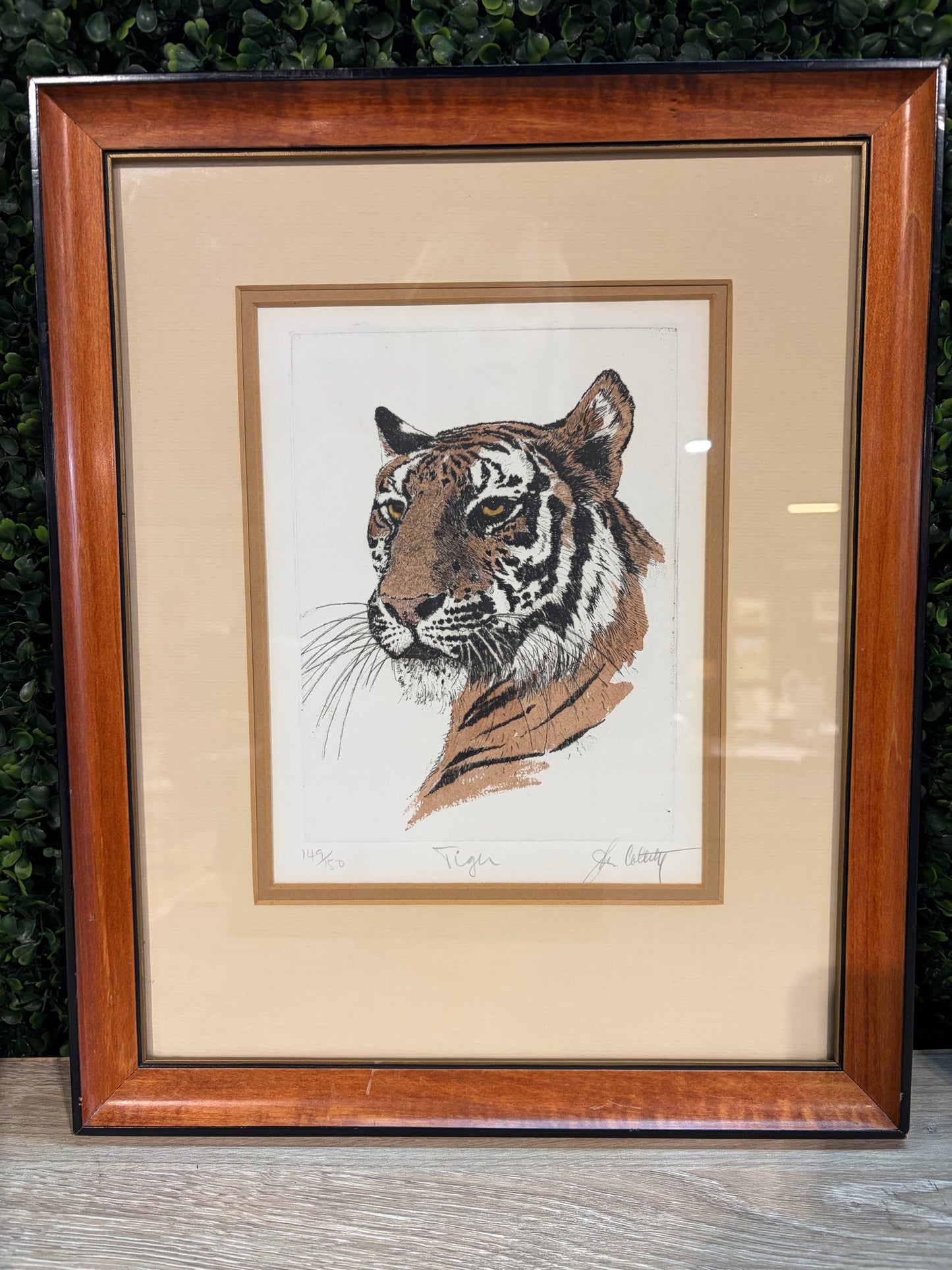 VTG "Tiger" by John Collette,  Hand Colored Etching, 12.75"W x 15.75"H x .75"D