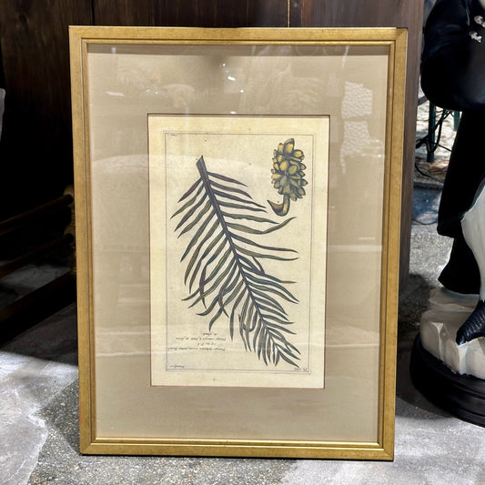Vintage Style Botanical Palm Leaf Print D.10, Gold Framed, 21.75" L x 16.25" W