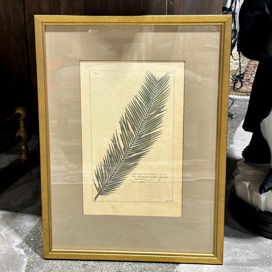 Vintage Style Botanical Palm Leaf Print D.5 , Gold Framed, 21.75" L x 16.25" W