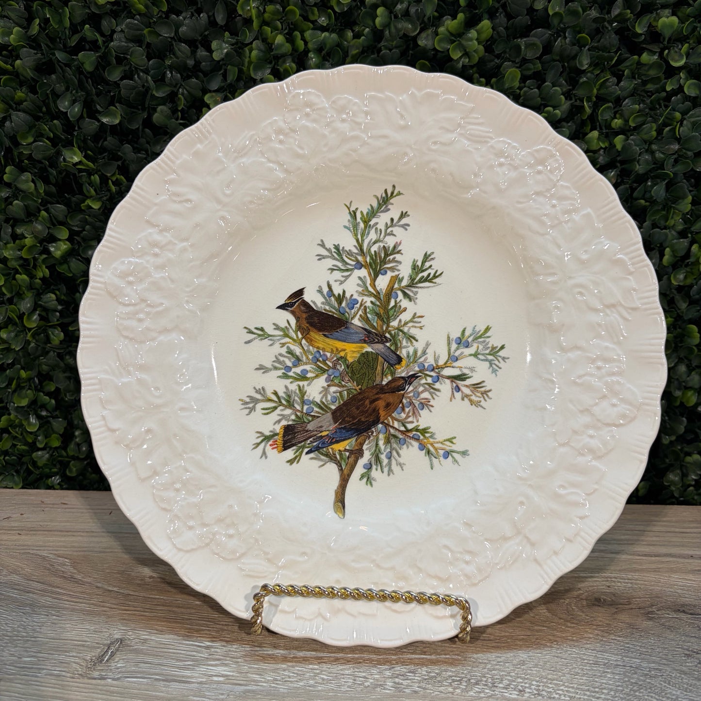 VTG Set of 6 Birds of America Floral Rim Plates by Alfred Meakin, 10.75"Dia