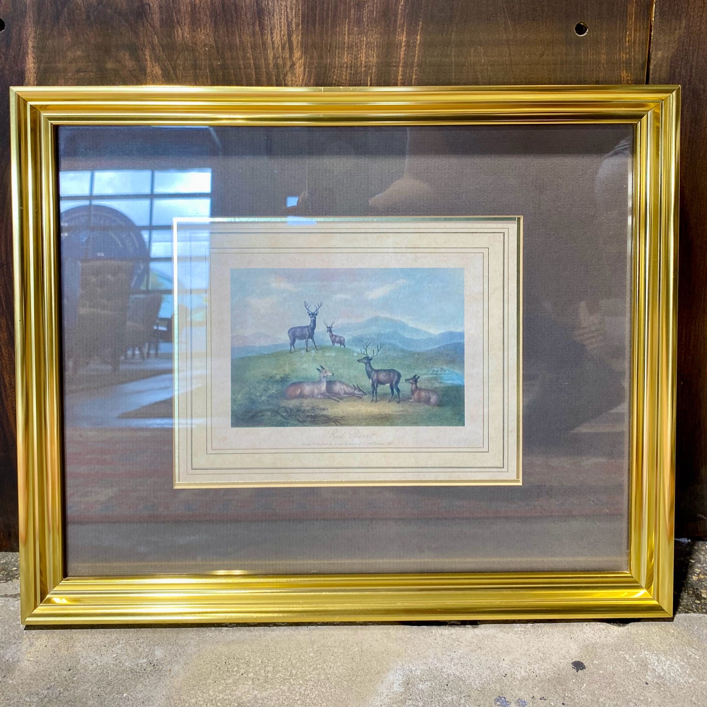Red Deers Print, 16.5"W x 13.5"H x 1"D