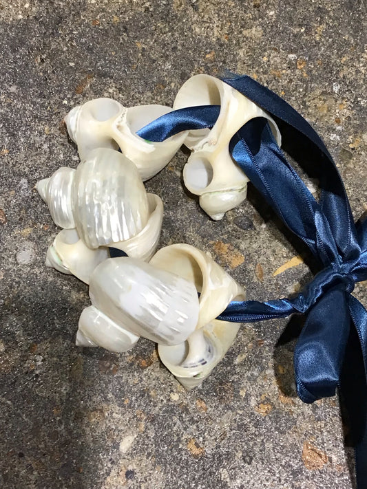 SET of 6 Shell Napkin Rings approx. 2"x 2.5" each