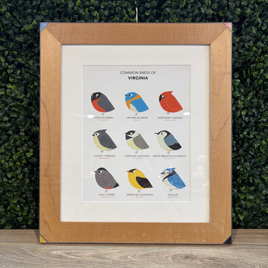 Birds of VA Framed Print 13.5"W x 16"H