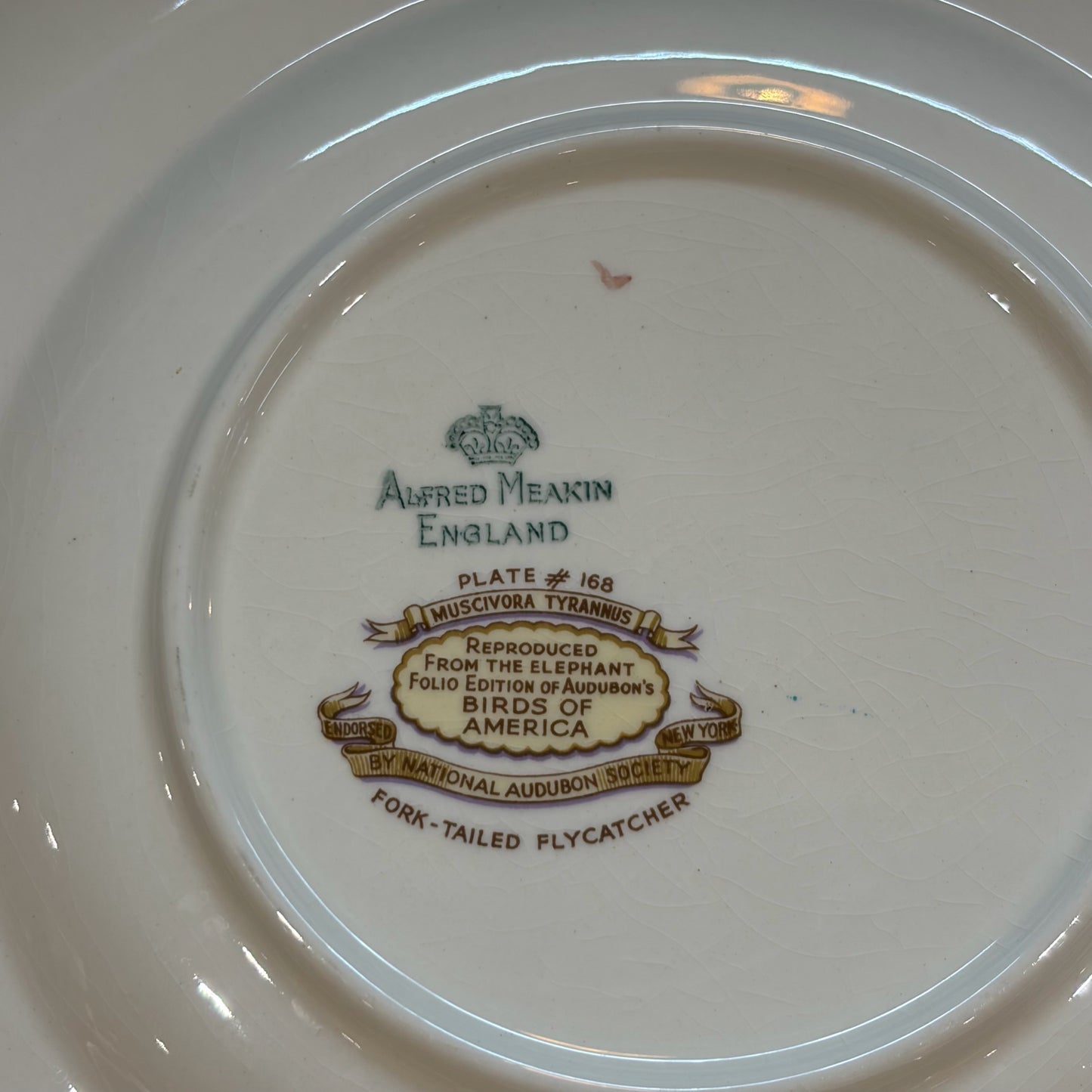 VTG Set of 6 Birds of America Floral Rim Plates by Alfred Meakin, 10.75"Dia
