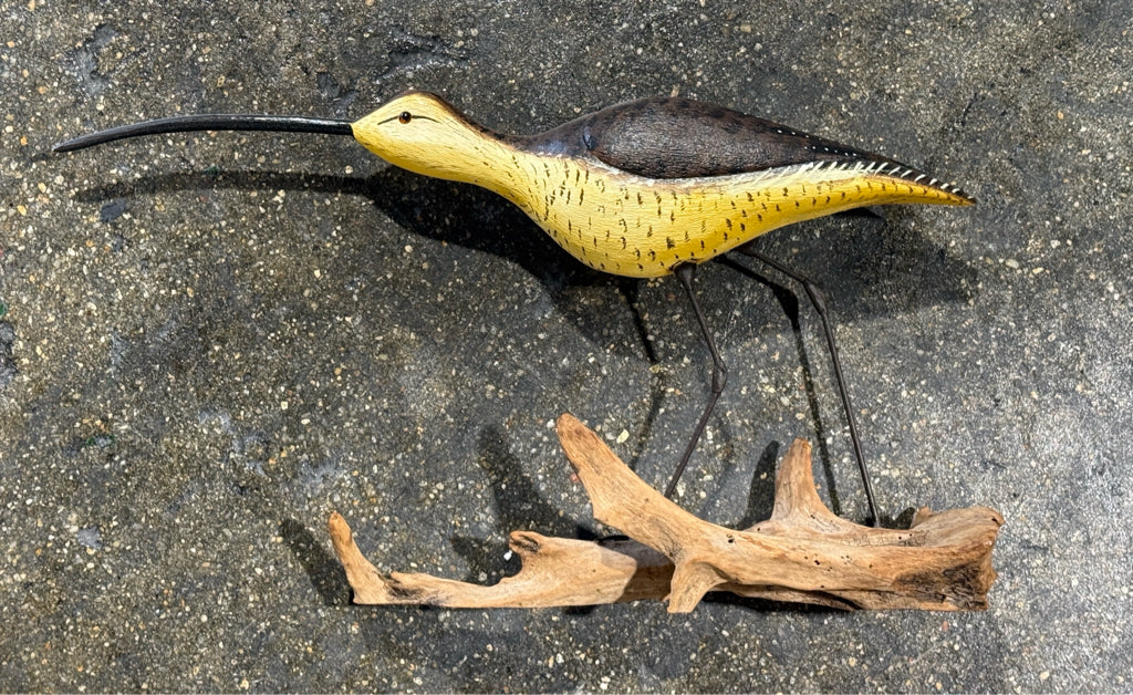 Long-billed curlew, handcarved, signed, 19"L x 5"W x 10"H