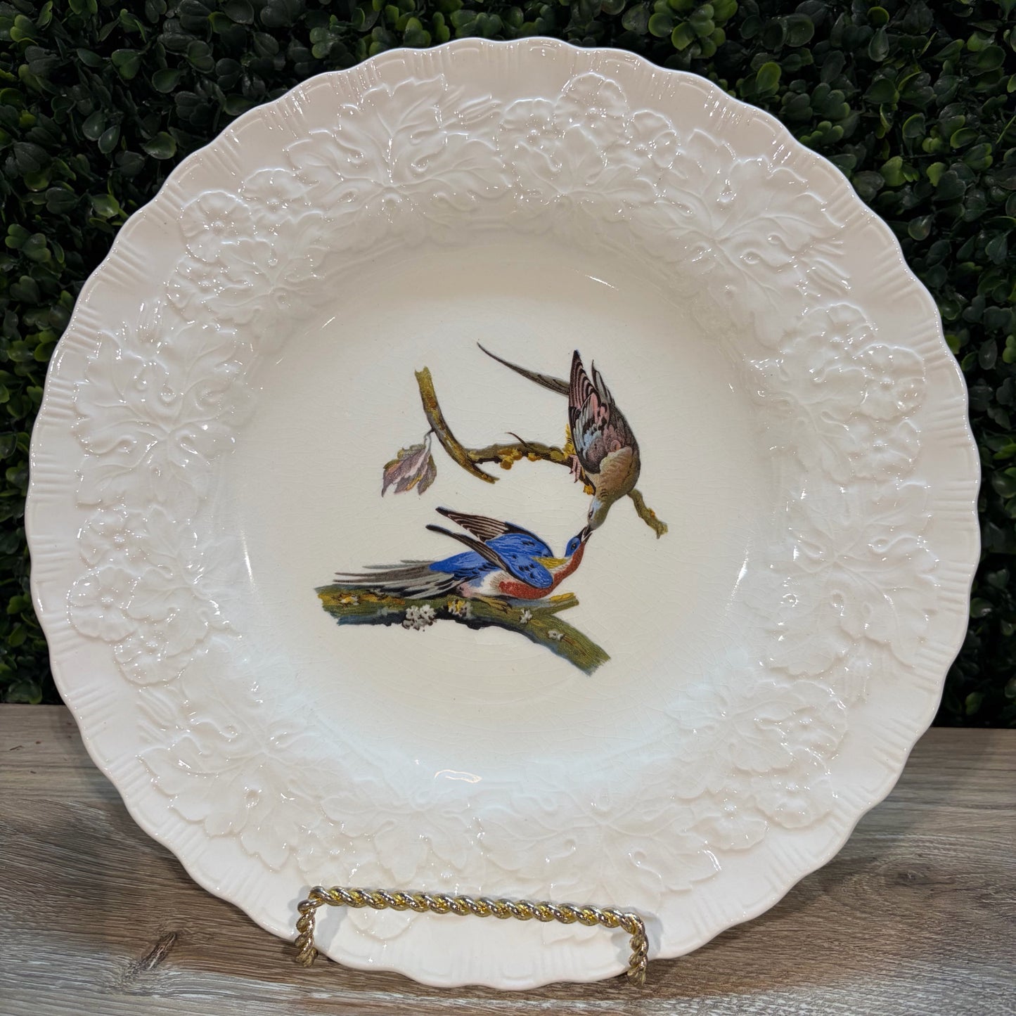 VTG Set of 6 Birds of America Floral Rim Plates by Alfred Meakin, 10.75"Dia