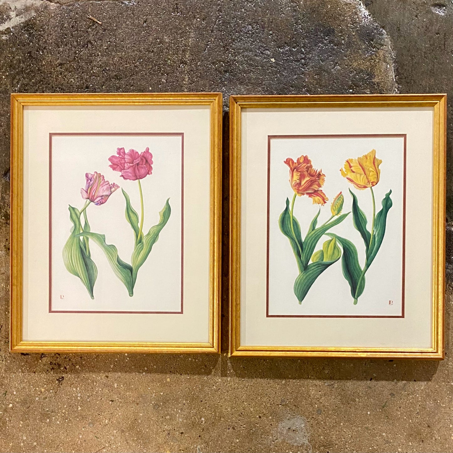 Vintage SET of 2 Botanicals Prints, 18.75"H x 15.25"W x 1"D
