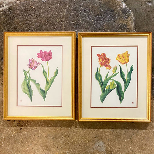 Vintage SET of 2 Botanicals Prints, 18.75"H x 15.25"W x 1"D