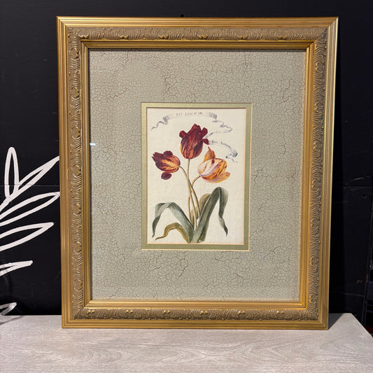Tulip Print Framed & Matted, 25" W x 1 3/4" D x 29" H