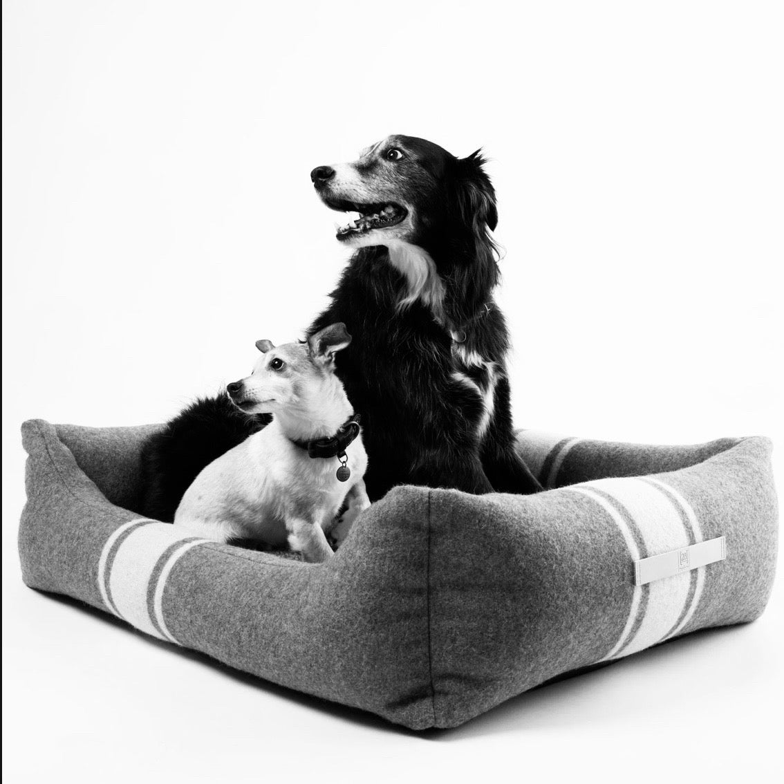 NEW XL Henri Dog Bed, Pebble Organic Cotton, 51.2"W x 39.4"D x 11.8"H