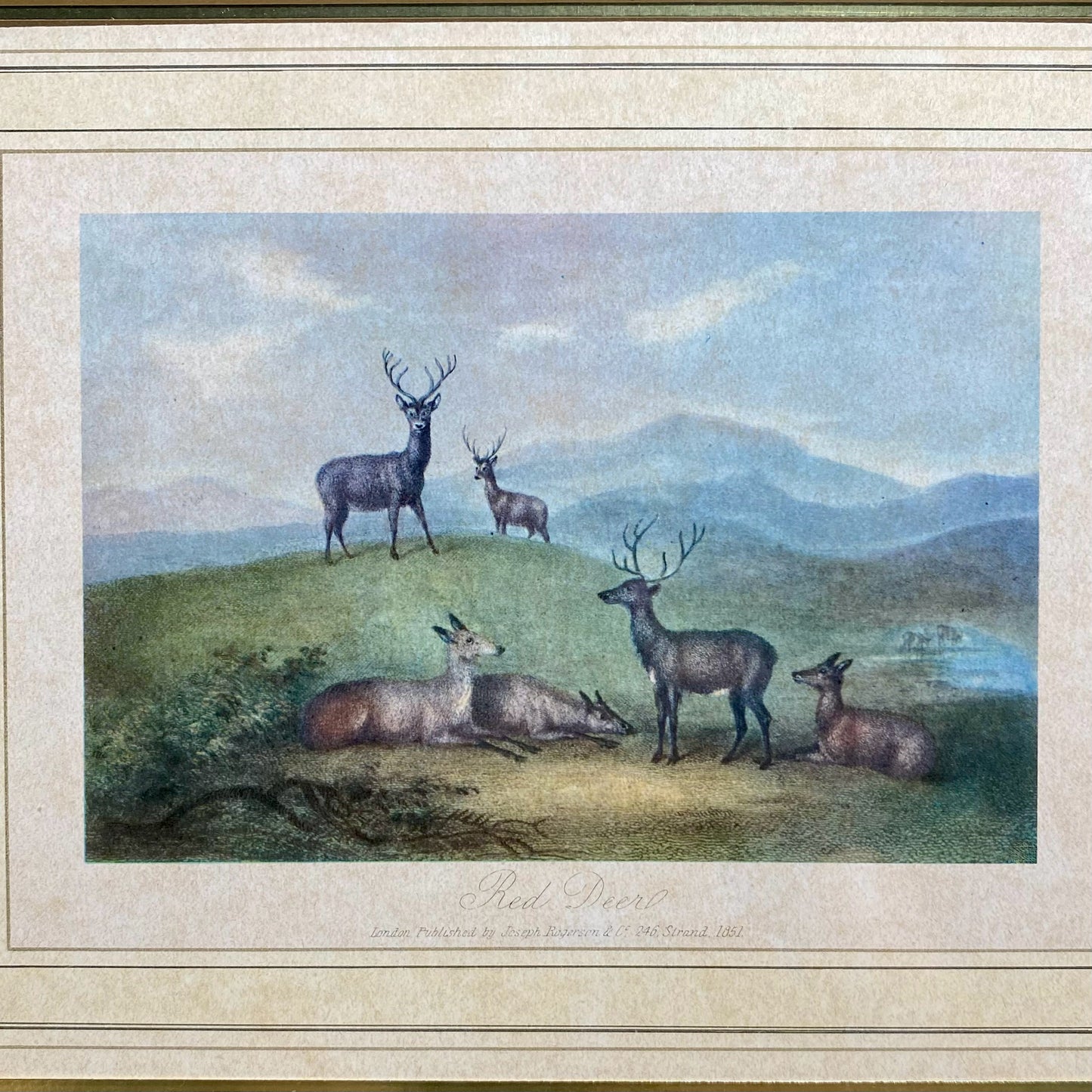 Red Deers Print, 16.5"W x 13.5"H x 1"D