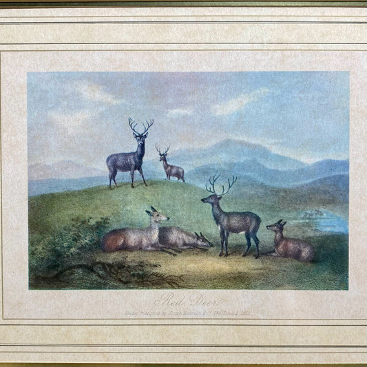 Red Deers Print, 16.5"W x 13.5"H x 1"D