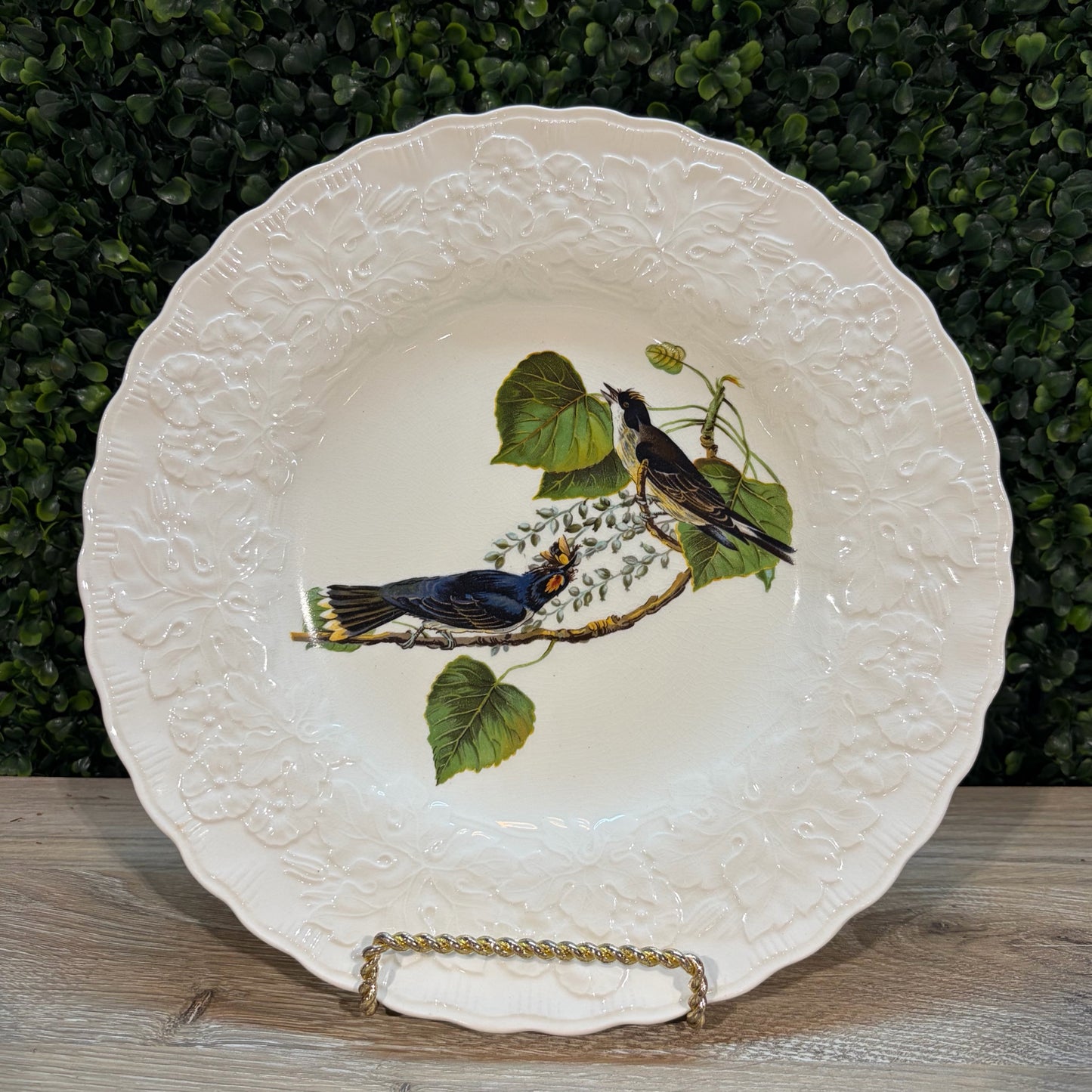 VTG Set of 6 Birds of America Floral Rim Plates by Alfred Meakin, 10.75"Dia