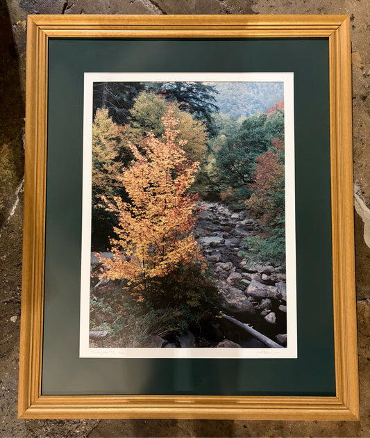 Framed Print of Smoky MTS, TN 3/250, Signed, 26"W x 44"H x 1.25"D
