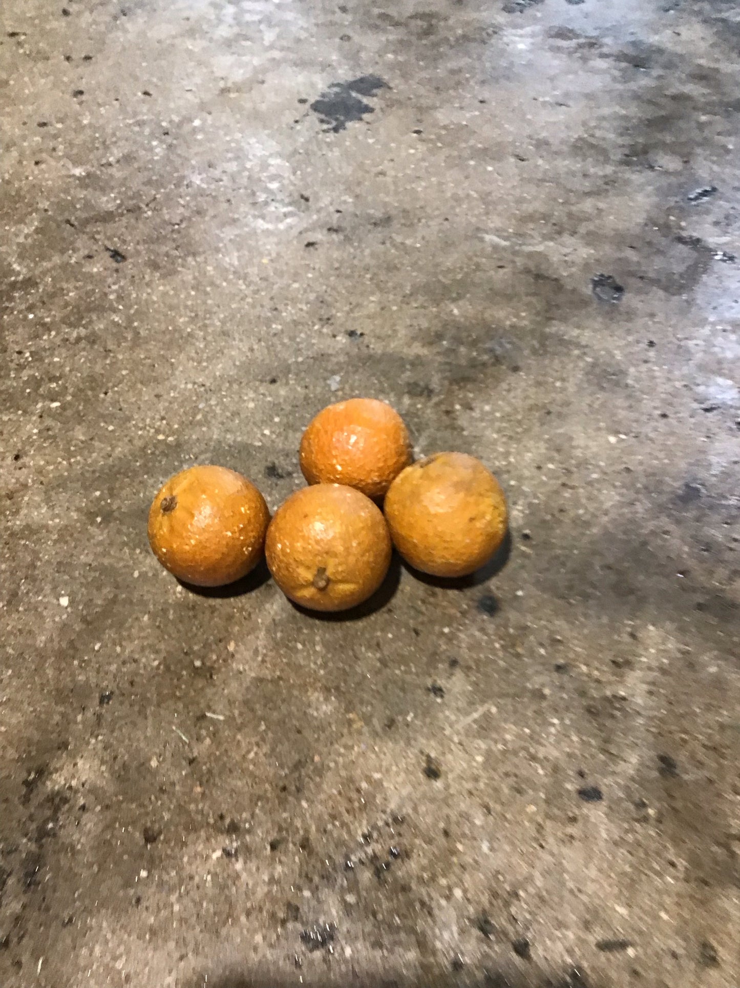 Four Italian Alabaster Oranges 9.5" dia x3.5" H