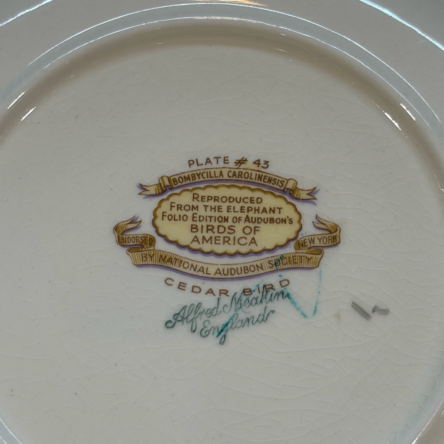 VTG Set of 6 Birds of America Floral Rim Plates by Alfred Meakin, 10.75"Dia