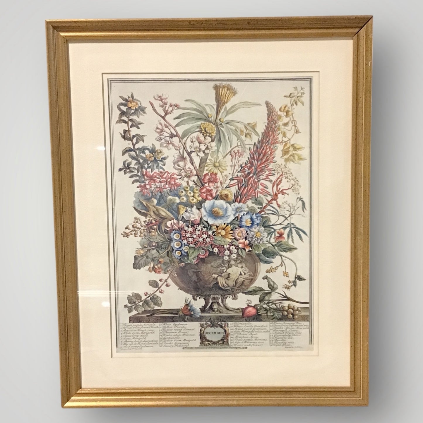 VTG  Botanical Print "December" by Robert Furber 17.5 "W x 22"H