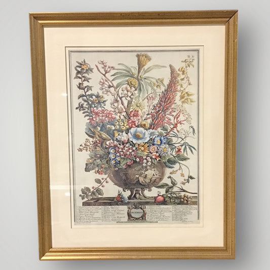 VTG  Botanical Print "December" by Robert Furber 17.5 "W x 22"H
