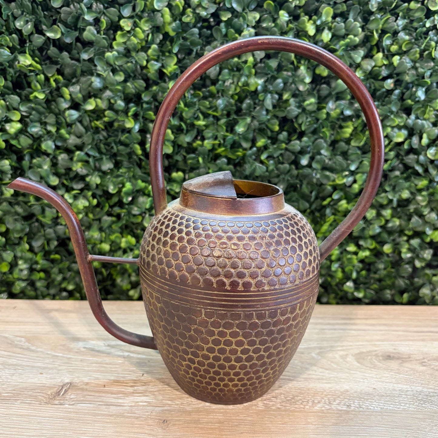 VTG Cast Bronze Bonsai Watering Can, 8.75"W x 4.25"D x 8.5"H