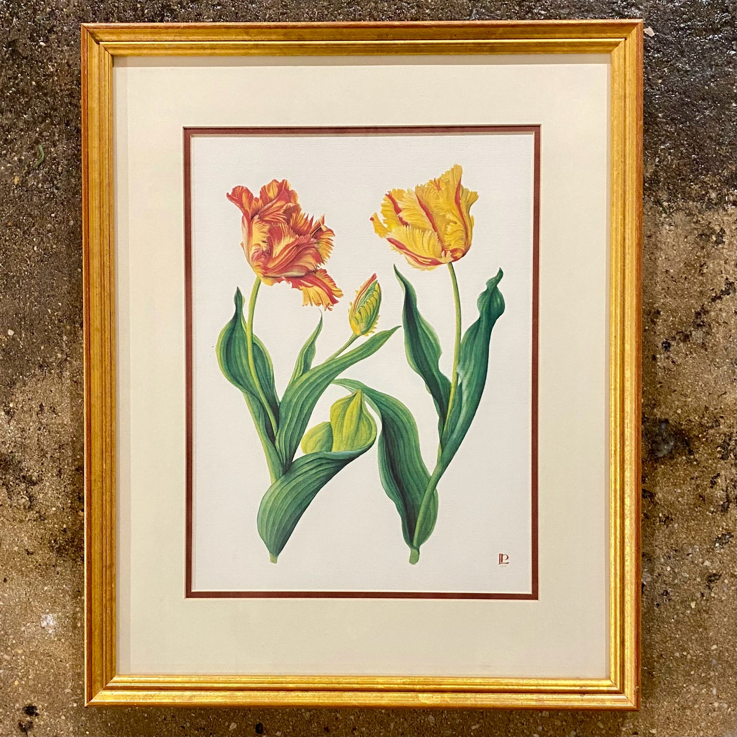 Vintage SET of 2 Botanicals Prints, 18.75"H x 15.25"W x 1"D