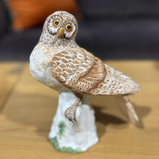 Vintage Staffordshire "Hawk Owl" 7" W x4" D x 7.5" H