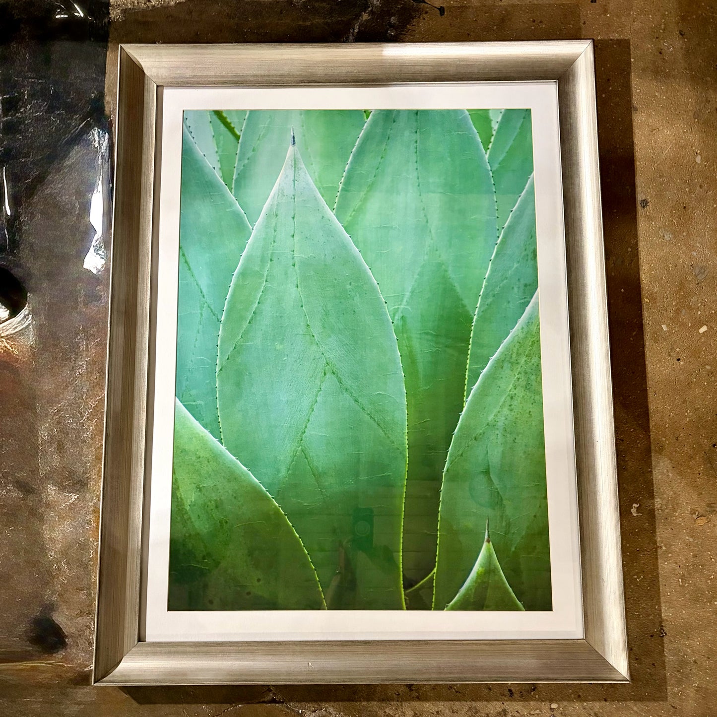 "Agave V" Print by Thea Schrack, 48"H x 37"W x 1.5"D