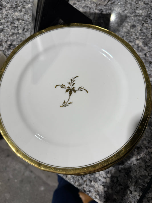 SET of 12 Antique Cauldon England plates, 9", gold/white