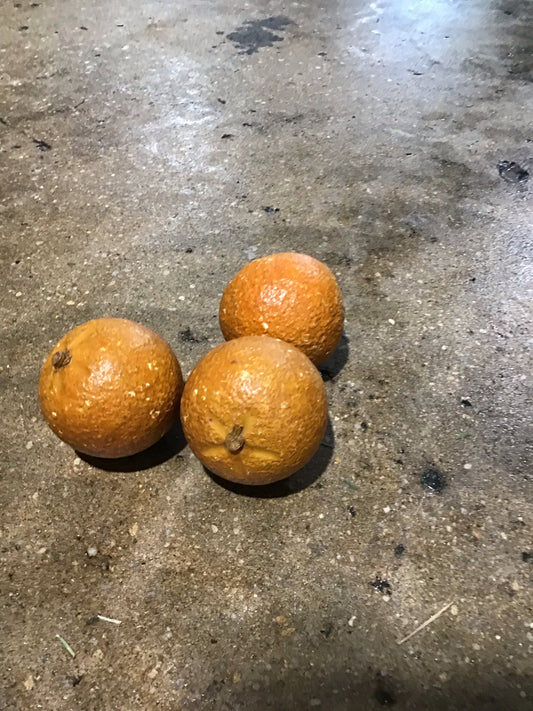 3 Italian Alabaster Oranges 9.5" dia. x 3.5" H each