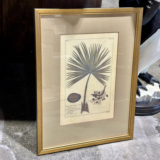 Vintage Style Botanical Palm Leaf Print D.4, Gold Framed, 21.75" L x 16.25" W