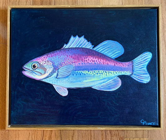 Original Painting "Rainbow Trout" by Carrie Prince, 21"W x 17"H  x 1.5"D
